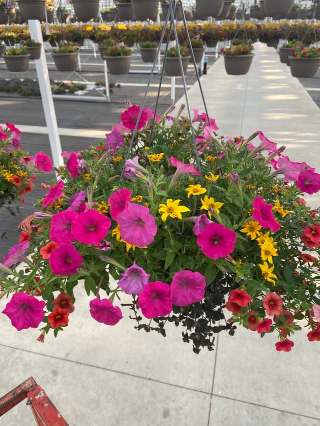 fundraiser flowers