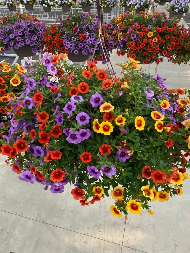 fundraiser flowers