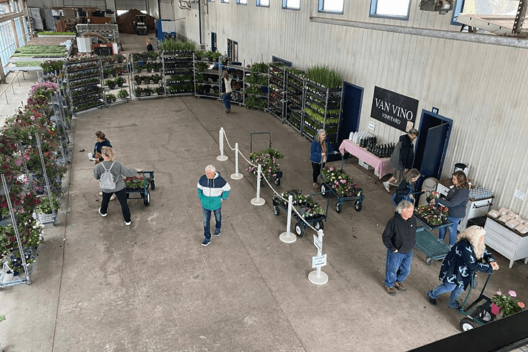 a greenhouse full of growing plants